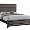 Watson Queen Bed Grey Oak and Black
